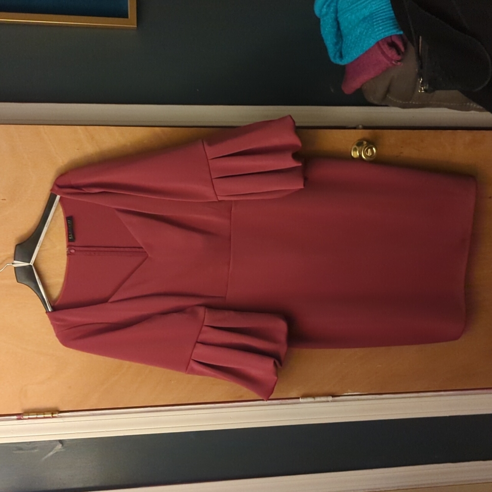 Eloquii Dress New Size 22 Raspberry